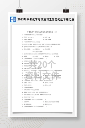 2023年中考化学专项复习之常见的盐专练汇总
