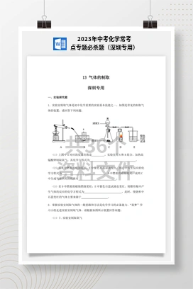 2023年中考化学常考点专题必杀题（深圳专用）