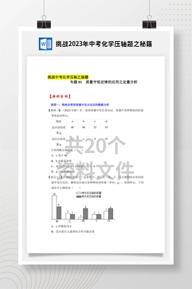 挑战2023年中考化学压轴题之秘籍