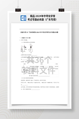 精品 2024年中考化学常考点专题必杀题（广东专用）