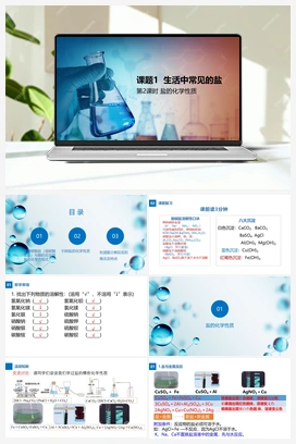 第2课时 盐的化学性质（课件+视频） 人教版初中化学九年级下册