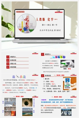 课题11.1 生活中常见的盐 第1课时（课件+练习+视频） 人教版初中化学九年级下册