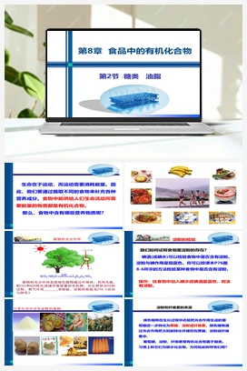 8.2 糖类 油脂（课件+作业） 沪教版初中化学九年级下册