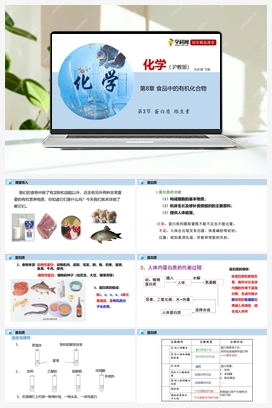 第3节 蛋白质 维生素（课件+视频） 沪教版初中化学九年级下册