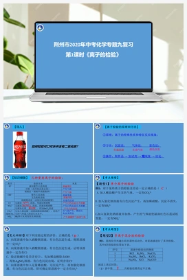 荆州市沙市区2020年中考化学专题九离子的检验资料