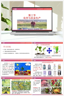 6.3 化学与农业生产（课件+练习） 鲁教版初中化学九年级