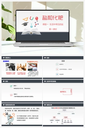 11.1 生活中常见的盐（第1课时）（课件+练习） 人教版初中化学九年级下册