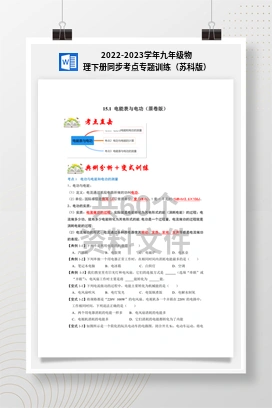 2022-2023学年九年级物理下册同步考点专题训练（苏科版）