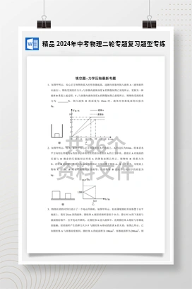 精品 2024年中考物理二轮专题复习题型专练