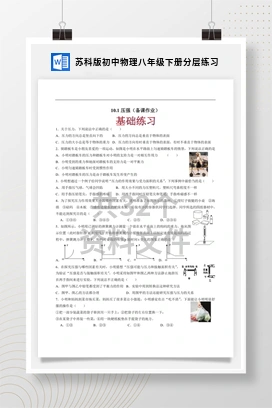 苏科版初中物理八年级下册分层练习