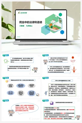 3.3《爬虫中的法律和道德》课件 川教版初中信息技术九年级上册