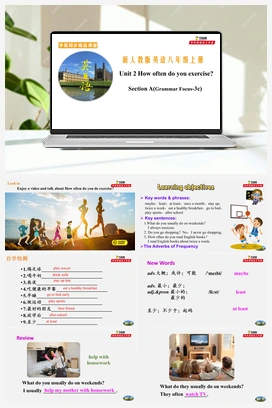 Unit2 SectionA(grammar focus-3c)课件+教案+导学案+练习 人教版初中英语八年级上册
