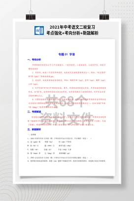 2021年中考语文二轮复习考点强化+考向分析+新题解析