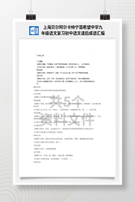 上海贝尔阿尔卡特宁蒗希望中学九年级语文复习初中语文课后成语汇编