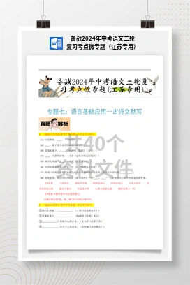 备战2024年中考语文二轮复习考点微专题（江苏专用）