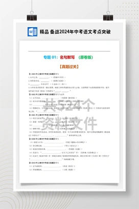 精品 备战2024年中考语文考点突破