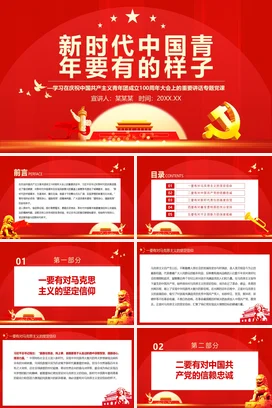 新时代中国青年要有的样子学习在庆祝100周年大会上的重要讲话党课团课PPT课件模板模板