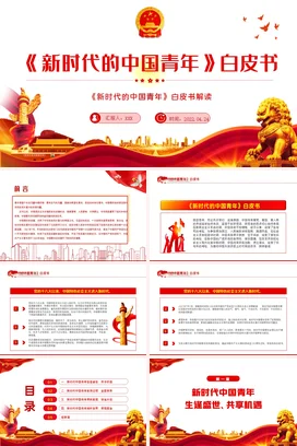 新时代的中国青年白皮书党课团课PPT课件模板