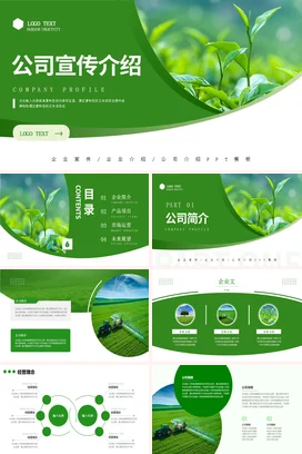 绿色简约大气公司简介品牌介绍农业项目招商商业计划书PPT模板