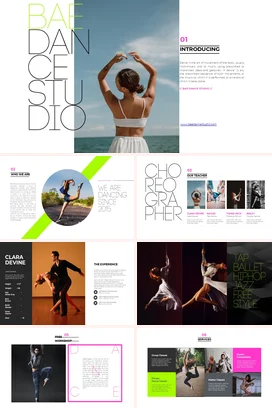 白色极简简约大气培训机构BaeDanceStudio介绍PPT模板