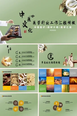 浅绿古风简约医疗医院中医医学行业工作汇报药材工作总结计划PPT模板