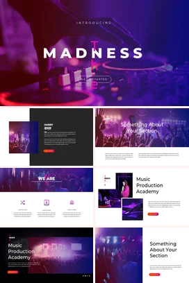 紫色创意炫酷现代企业Madness音乐派对介绍DJ新品发布PPT模板