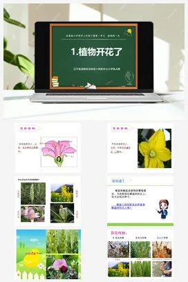 苏教版小学科学三下课件教案 3.植物开花了（辽宁 张占勇）（第一、二课时）