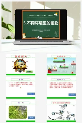 苏教版小学科学三下课件教案 5.不同环境里的植物（辽宁 王丽娜）