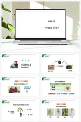 苏教版科学三年级下1.2《幼苗长大了》课件 教案 练习 素材