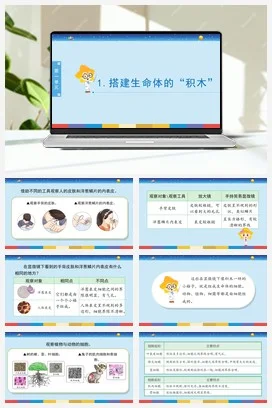 苏教版小学科学五下 1.1《搭建生命体的“积木”》