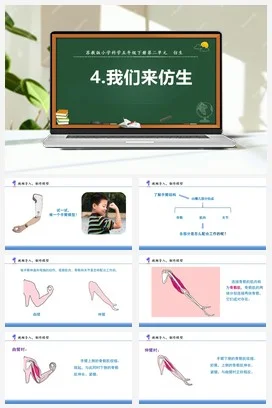 苏教版小学科学五下 2.8我们来仿生（课件）