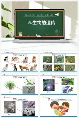苏教版小学科学六上 1.5 生物的遗传（课件+教案）