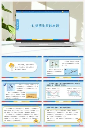 苏教版小学科学六 2.8：适应生存的本领课件