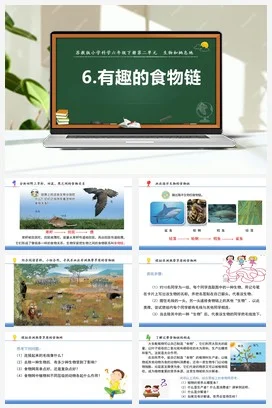 苏教版小学科学六 6 有趣的食物链（教案+课件11ppt）