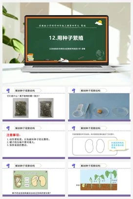 苏教版科学四年级下12.用种子繁殖（南京 秦敏）