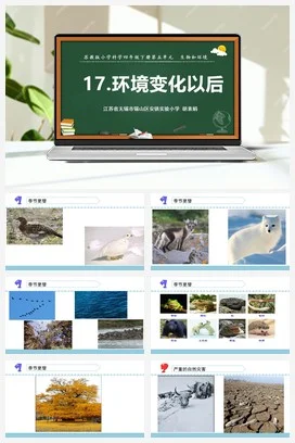 苏教版科学四年级下17.环境改变以后（无锡 胡素娟）