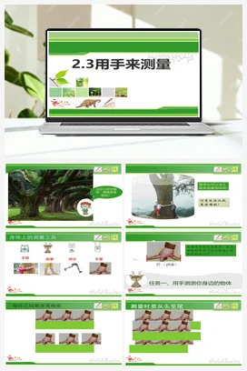 2.3用手来测量 课件+教案 小学科学教科版一年级上册