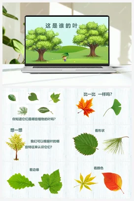 这是谁的叶 课件 小学科学教科版一年级上册第1单元第4课