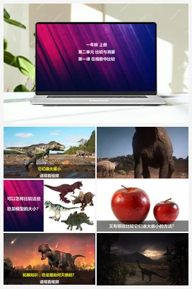 在观察中比较 课件 小学科学教科版一年级上册第2单元第1课
