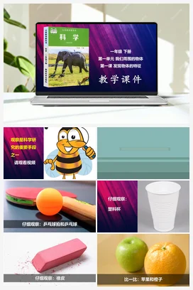 发现物体的特征 课件 教科版小学科学一年级下册 第1单元第1课