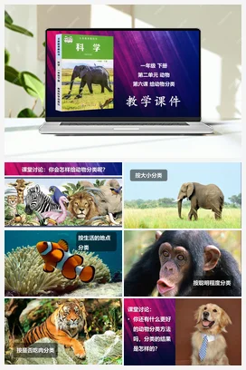 给动物分类 课件 教科版小学科学一年级下册 第2单元第6课