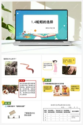 蚯蚓的选择 课件+教案 教科版小学科学五年级下册
