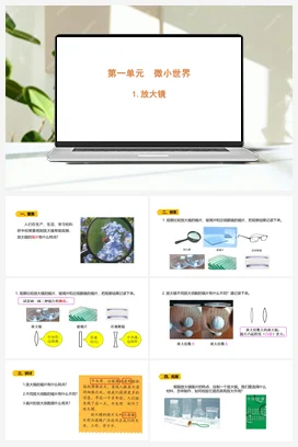1.1 《放大镜》 课件 教科版小学科学六年级上册