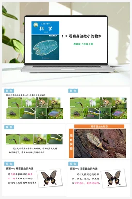 1.3 观察身边微小的物体 课件+教学设计 教科版小学科学六年级上册