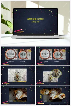 1.3 观察身边微小的物体 课件+教案+练习+任务单 教科版小学科学六年级上册