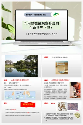 1.7《用显微镜观察身边的生命世界（三）》 课件+教案 教科版小学科学六年级下册