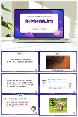2.4.《多种多样的动物》（课件23ppt+视频+教案+素材） 教科版小学科学六年级下册