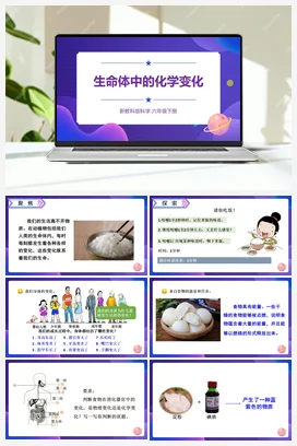 4.6《生命体中的化学变化》（课件18ppt+视频 +教案+素材） 教科版小学科学六年级下册