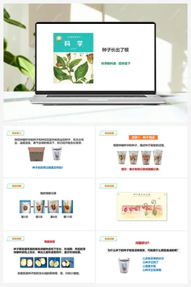 1.3《种子长出了根》课件（29张PPT）+教案+练习+素材 教科版小学科学四年级下册