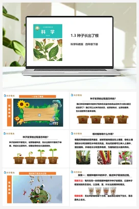 1.3《种子长出了根》课件（37张） 教科版小学科学四年级下册